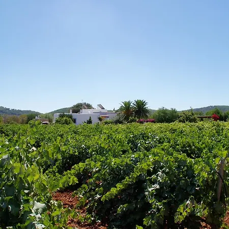 Sa Vinya D'en Palerm Çiftlik konaklama Sant Miquel de Balansat