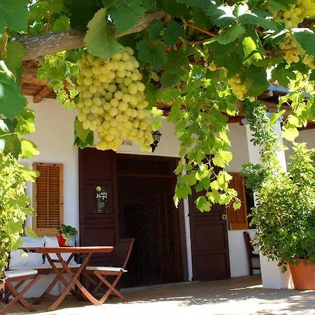 Sa Vinya D'en Palerm Farm stay