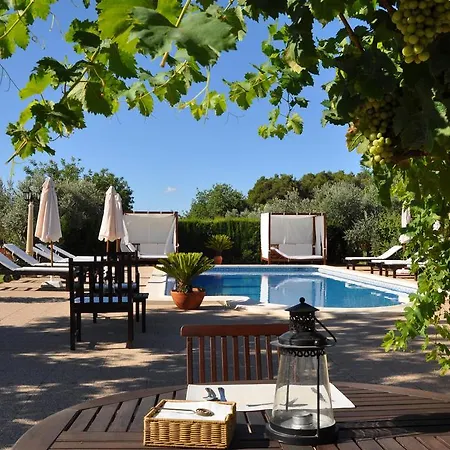 Farm stay Sa Vinya D'en Palerm Sant Miquel De Balansat