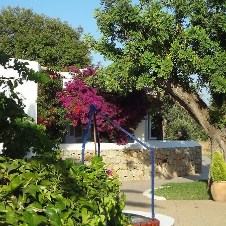 Sa Vinya D'en Palerm * Sant Miquel De Balansat