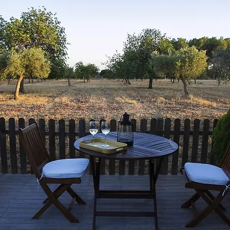 Farm stay Sa Vinya D'en Palerm