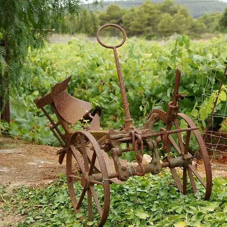Sa Vinya D'en Palerm Farm stay Sant Miquel De Balansat