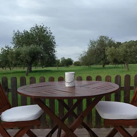 Sa Vinya D'en Palerm Farm stay